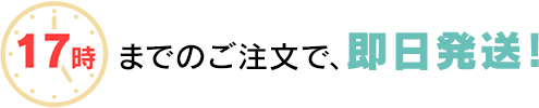 即日発送